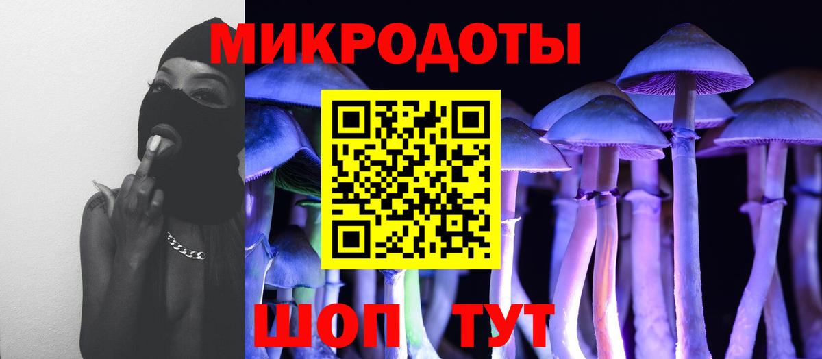 где найти   Псилоцибиновые грибы MAGIC MUSHROOMS  Вход с VPN  Орехово-Зуево 